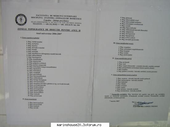 o sa incerc sa aduc la zi..tot ce se poate cu poze anatomie